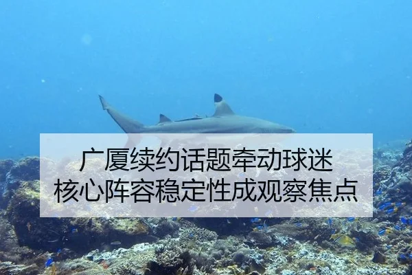 广厦续约话题牵动球迷 核心阵容稳定性成观察焦点